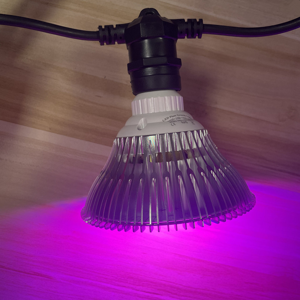 Guirlande lumineuse LED de 10M - Led Fairy String Lights avis et prix